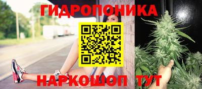 эйфоретик Бузулук