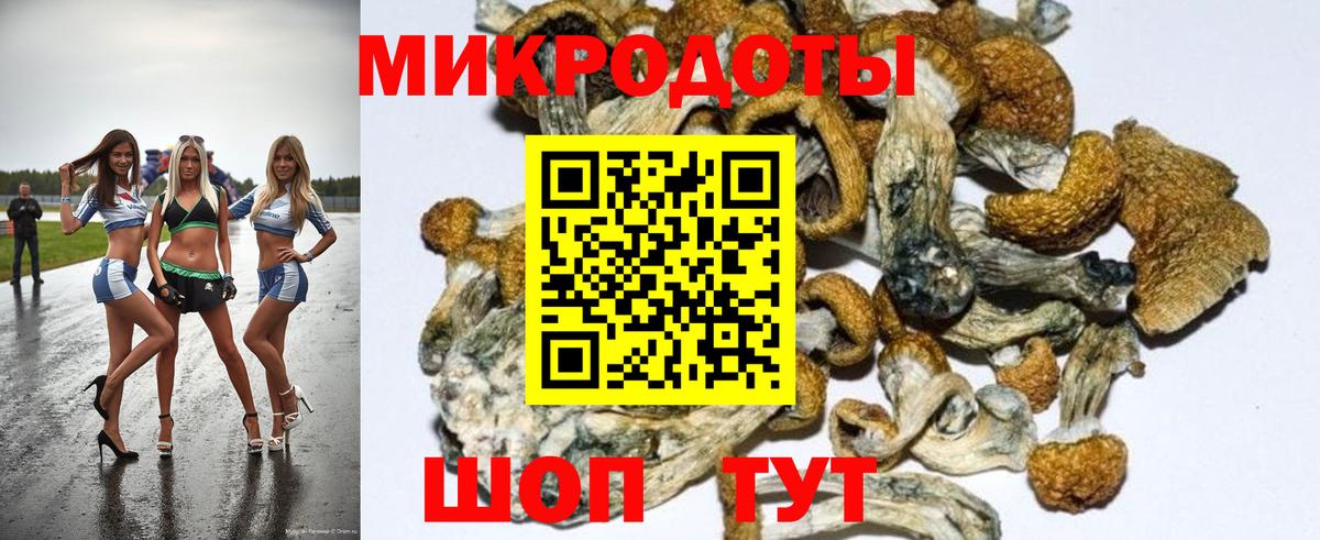Галлюциногенные грибы Psilocybine cubensis Учалы