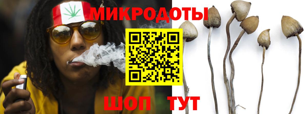Псилоцибиновые грибы GOLDEN TEACHER  Вход с VPN  Учалы 